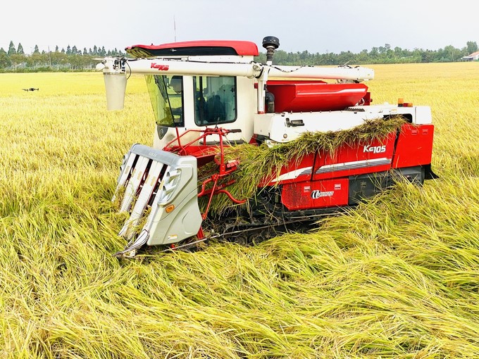 Demonstrating the rice harvesting and straw chopping and burying machines in the field at the model. Photo: Le Hoang Vu.