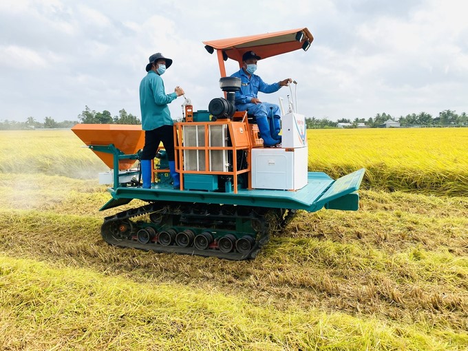 The high-quality, low-emission rice farming model will be deployed in eight districts in Dong Thap with a total area of 1,325 hectares and continuously implemented in the next 3 crops. Photo: Le Hoang Vu.