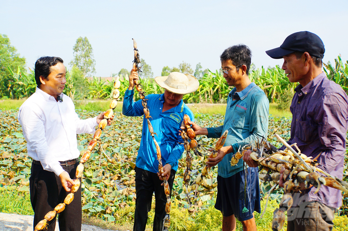 Tỉnh Đồng Tháp kỳ vọng tất cả nông dân trồng sen, các cơ sở sản xuất, doanh nghiệp tại địa phương chung tay thực hiện các giải pháp để nâng tầm cây sen. Ảnh: Lê Hoàng Vũ.