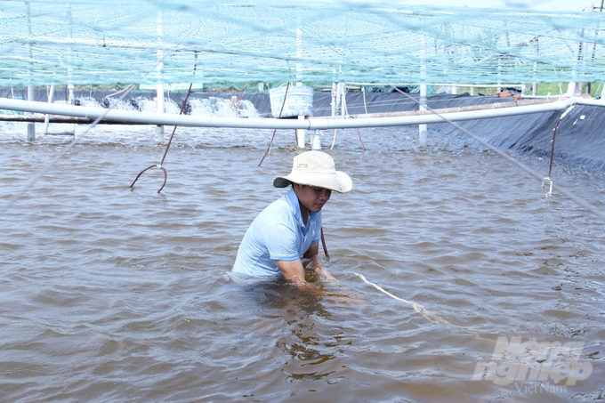 Các hộ nuôi tôm thẻ chân trắng vệ sinh ao nuôi lần cuối trước khi xuống giống vụ đông. Ảnh: Trung Quân.