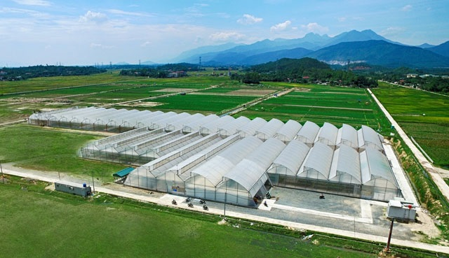 WinEco Farm - a large-scale farm that invests in advanced cultivation technology to produce clean fruits and vegetables.