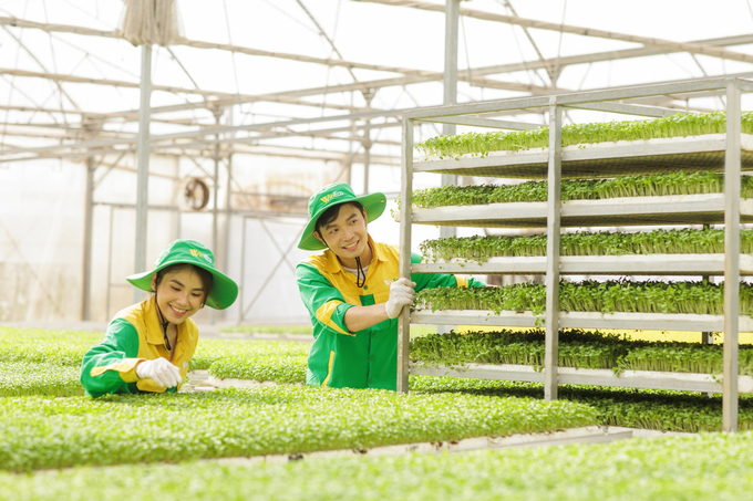 In addition to investments in high technology, pioneering companies similar to WinEco also recruit skilled technicians to monitor and inspect their vegetable and fruit production systems.