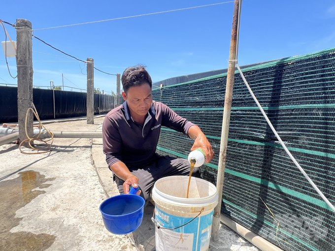 Shrimp farmers use biological products to mitigate environmental impact. Photo: Trong Linh.