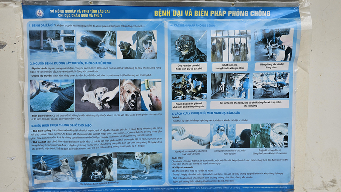 A poster with information about rabies and prevention measures in Bac Ha. Photo: H.D.