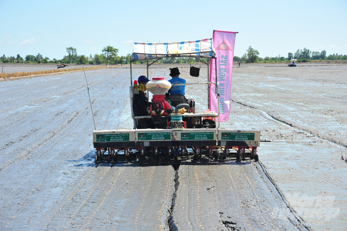 Sử dụng máy sạ cụm Sài Gòn Kim Hồng, lượng giống gieo sạ chỉ sử dụng từ 60 kg/ha (Trà Vinh) và 70 kg/ha (Đồng Tháp, Kiên Giang), bình quân 64,6 kg/ha, thấp hơn lượng giống sạ lan trong sản xuất bình quân 81 kg/ha (giảm 55,7% lượng giống sử dụng). Ảnh: Lê Hoàng Vũ.