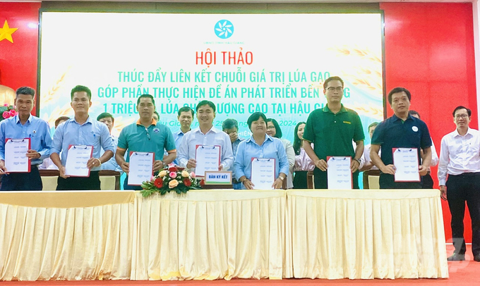 Bà Đào Thị Như Hè, Giám đốc Công ty TNHH TMDV Sài Gòn Kim Hồng  (ảnh thứ 5 từ trái qua phải) ký kết hợp tác với Trung tâm Khuyến nông và Dịch vụ nông nghiệp tỉnh Hậu Giang cung ứng các loại máy móc cơ giới phục vụ sản xuất lúa gạo nằm trong Đề án của tỉnh. Ảnh: Lê Hoàng Vũ.