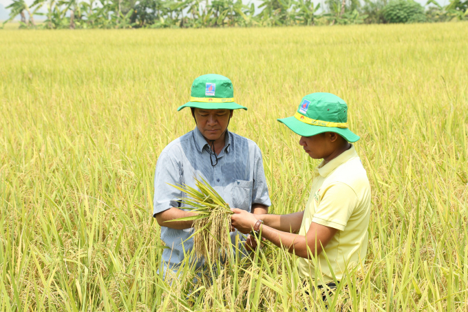 Với phương án thuế GTGT 5%, lợi nhuận doanh nghiệp có thể tăng lên đúng bằng số thuế được khấu trừ, trong khi đó, nông dân không phải chịu tác động làm tăng chi phí sản xuất do áp dụng thuế GTGT.