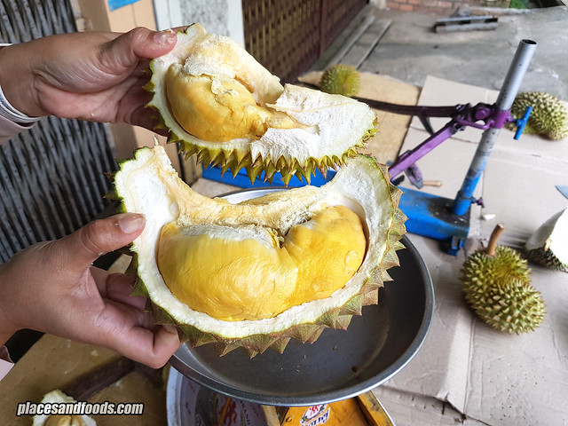 From the start of the year through August, Thailand has exported 1.4 million tons of fresh fruit, reaching a market value of THB150 billion ($4.45 billion).