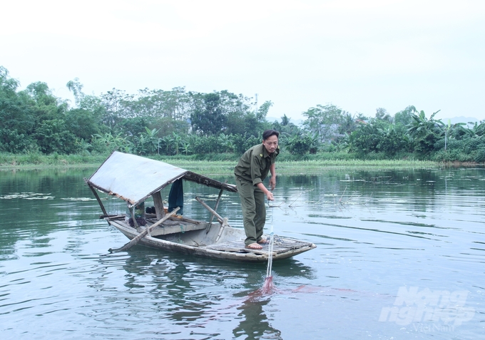 Theo anh Lê Như Quỳnh, nuôi tôm càng xanh trên chân đất lúa hạn chế tình trạng bỏ ruộng hoang, đồng thời gia tăng giá trị sản xuất. Ảnh: Trung Quân. 