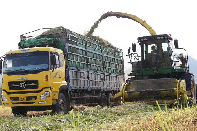 Sử dụng máy móc, trang thiết bị hiện đại để giảm tải sức lao động là hướng đi của TH Group. Ảnh: Việt Khánh. 