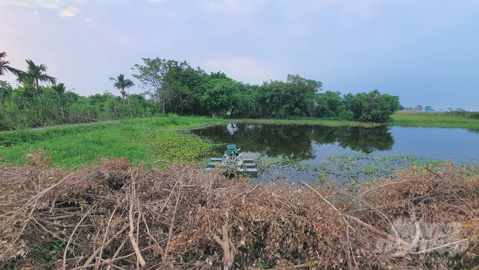 Ao nuôi cá bỏ hoang của ông Láng kể từ khi xã ra thông báo chấm dứt hợp đồng cho thuê đất. Ảnh: K.Trung.