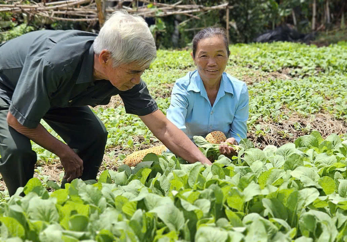 Gia đình bà Lương Thị Mơ, ấp Kinh Mới, xã Vĩnh Thuận (Vĩnh Hưng, Long An) thoát nghèo bền vững nhờ đồng vốn 'Quỹ xoay vòng' trong xây dựng NTM. Ảnh: Thanh Phong.