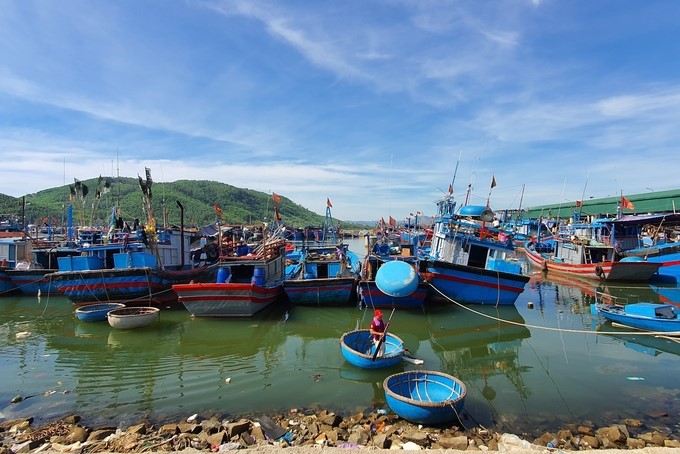 Quang Ngai province will ban seafood exploitation in two coastal waters in November every year. Photo: L.K.