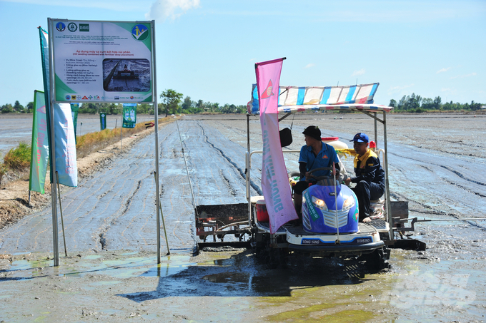 Farmers from Hamlet 4, Lang Bien Commune, Thap Muoi District, Dong Thap Province have deployed cluster sowing and fertilizer-burying equipment, provided by Sai Gon Kim Hong Company, in their rice fields. Photo: Le Hoang Vu.