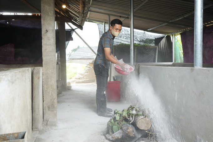 People in Tran Yen district carry out environmental disinfection measures before restocking livestock after suffering from storms and floods. Photo: Thanh Tien.