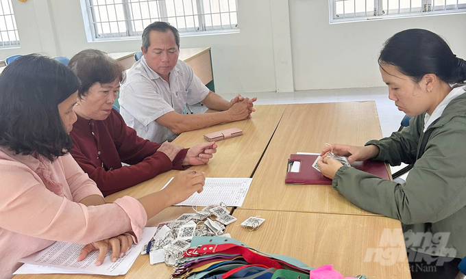 The representative of Con Dao District People's Committee handed over QR code tags to the Management Board of 9 residential areas. Photo: LB.