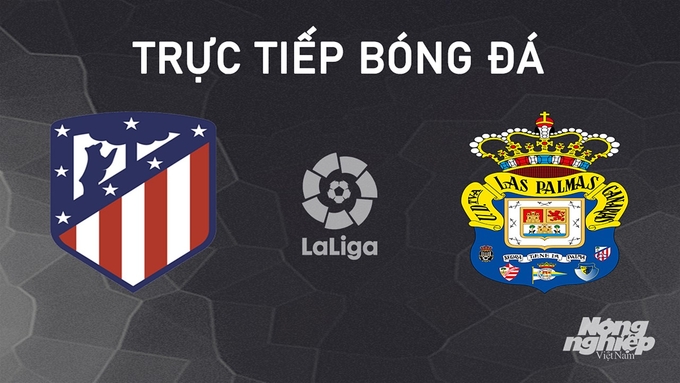 Trực tiếp bóng đá La Liga 2024/25 giữa Atletico Madrid vs Las Palmas hôm nay 3/11/2024