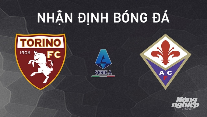 Nhận định bóng đá Serie A giữa Torino vs Fiorentina hôm nay 3/11/2024