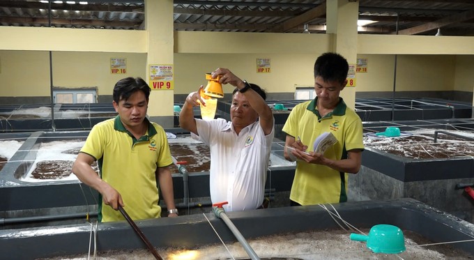 Ninh Thuan's shrimp seed production industry is developing strongly. Photo: PC.