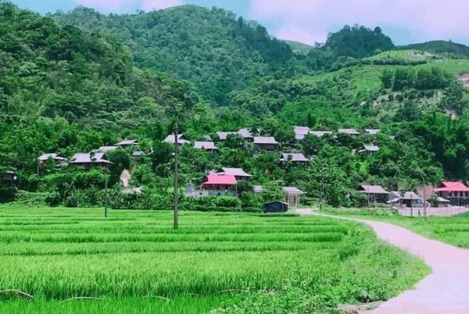 Ngày nay, những giống lúa bản địa canh tác theo hướng hữu cơ truyền thống đang có nguy cơ mai một ở các bản làng vùng cao huyện Tân Lạc.