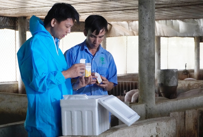 Nguyen Van Diep, CEO of AVAC Vietnam Joint Stock Company, and Pham Trung Hieu, a pig farmer from Ha Thach Commune, Phu Tho Town, Phu Tho Province, sharing insights into the AVAC ASF LIVE vaccine. Photo: Hong Tham.