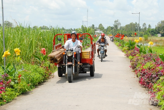 Tuyến đường hoa ở huyện Tam Nông có chiều dài từ 500m trở lên được trồng 2 bên đường các loại rất đẹp đã tạo vùng nông thôn mới ngày càng khởi sắc. Ảnh: Lê Hoàng Vũ.