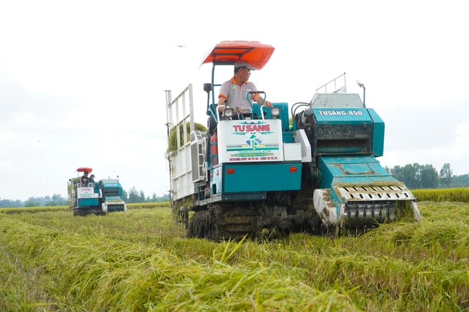 By 2030, Can Tho's agricultural sector still has room to develop a rice production area of 48,000 hectares. Photo: Kim Anh.