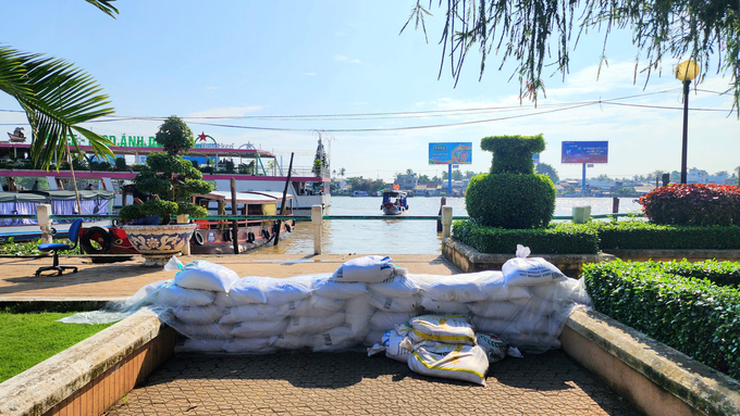 Nhiều vị trí ở bến Ninh Kiều tiếp giáp với sông Hậu được đắp bao cát tạm thời. Ảnh: Kim Anh.