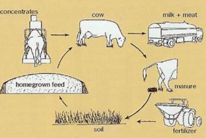 The animal-manure-soil-feed and fodder cycle.