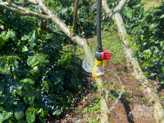 Hệ thống tưới ẩm Sa Lép cung cấp đầy đủ nước tưới cho người trồng mận ở Phiêng Khoài. Ảnh: Đức Bình.