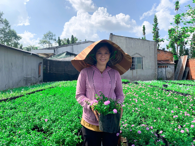 Vườn hoa của chị Như Thương ở khóm Tân Hiệp, phường Tân Quy Đông (TP Sa Đéc, tỉnh Đồng Tháp). Ảnh: Như Băng.