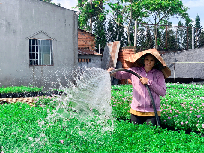 Khách hàng chính của chị Thương là các doanh nghiệp thi công các công trình xây dựng. Ảnh: Như Băng.