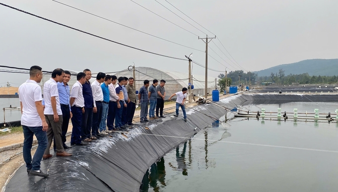 Mô hình liên kết trong nuôi tôm mang lại khác biệt so với cách thức mạnh ai nấy làm. Ảnh: VK.