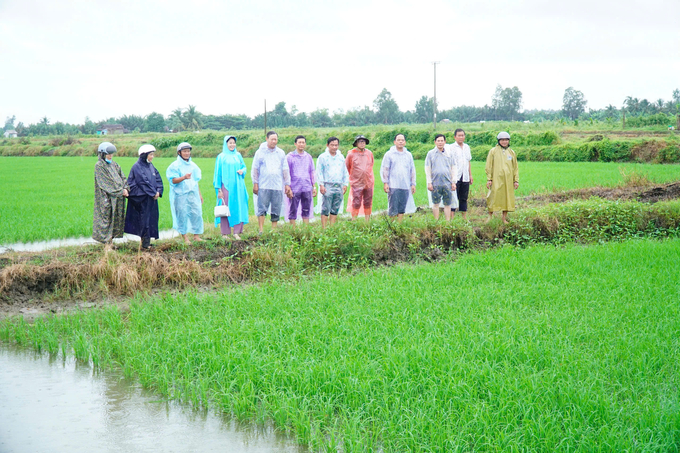 Đoàn công tác của huyện Mỹ Xuyên đi vận động nông dân tham gia mô hình lúa - tôm. Ảnh: Như Băng.