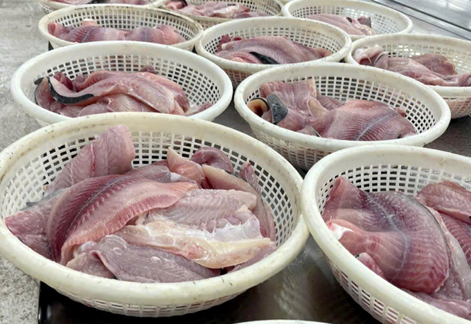 Vietnam leads in exporting fish filets to Singapore.