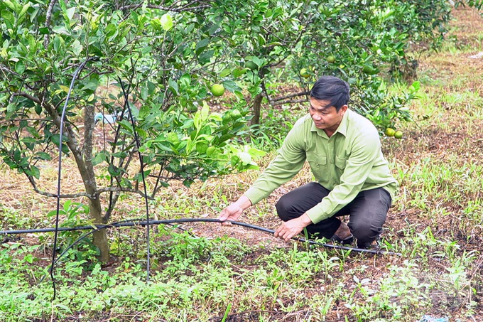 Làm nông nghiệp hữu cơ ở vùng đất nắng gió Quảng Trị là một ý tưởng táo bạo. Ảnh: Võ Dũng.