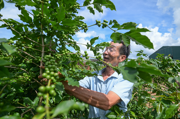 According to Prime Minister Pham Minh Chinh, Vietnamese agriculture has many products suitable for the Halal market. Photo: Tung Dinh.