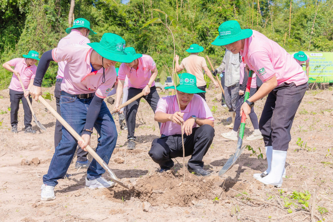 Các tình nguyện viên tham gia hoạt động trồng 400 cây dầu rái trong chương trình.