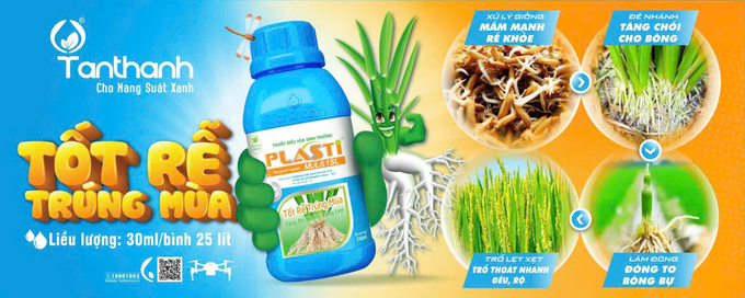 Sản phẩm Plastimula 1SL hỗ trợ cường lực bộ rễ, kích thích mạnh tiến trình sinh trưởng phát triển, giúp cây lúa có mầm mạnh rễ khỏe, gia tăng tối đa chồi hữu hiệu, cho đòng to bông bự và trổ rộ. Ảnh: Thanh Tuyền.