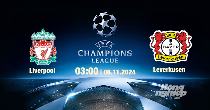 Nhận định, trực tiếp Liverpool vs Leverkusen, Cúp C1 Châu Âu, 03h00 ngày 6/11/2024