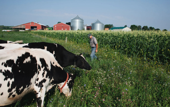 Tariffs imposed on $300 billion of Chinese imports by President Trump in 2018 started a trade war between the United States and China that affected farmers.Photo Credit: Libby March for The New York Times.