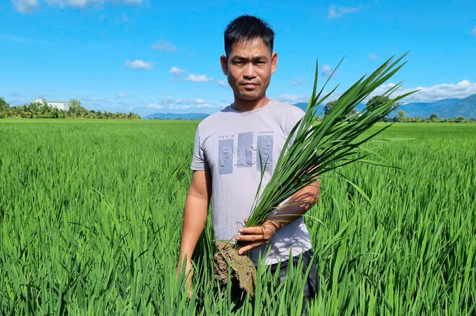 Nông dân hào hứng với việc ứng dụng tiến bộ kỹ thuật vào sản xuất lúa. Ảnh: KS.