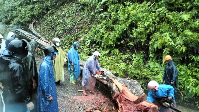 Tại khu vực bờ tràn suối Sa Ri thuộc xã An Toàn (huyện An Lão, Bình Định), một thân cây trôi xuống làm ảnh hưởng tới dòng chảy. Ảnh: V.Đ.T.