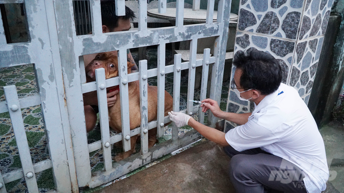 Lực lượng thú y tại các địa phương của Đồng Nai đang tăng cường 'đi từng ngõ, gõ từng nhà' để phủ vacxin dại cho chó, mèo. Ảnh: Lê Bình.