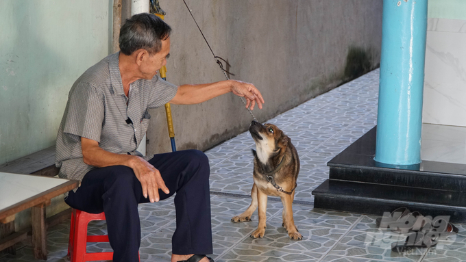 Đồng Nai phấn đấu sẽ hạn chế tình trạng chó thả rông và nâng cao tỷ lệ tiêm ngừa dại lên hơn 80%. Ảnh: Lê Bình.