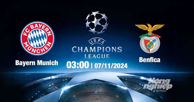 Nhận định, trực tiếp Bayern Munich vs Benfica, Cúp C1 Châu Âu, 03h00 ngày 7/11/2024