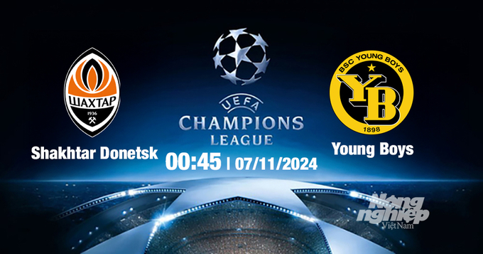 Nhận định, trực tiếp Shakhtar Donetsk vs Young Boys, Cúp C1 Châu Âu, 00h45 ngày 7/11/2024