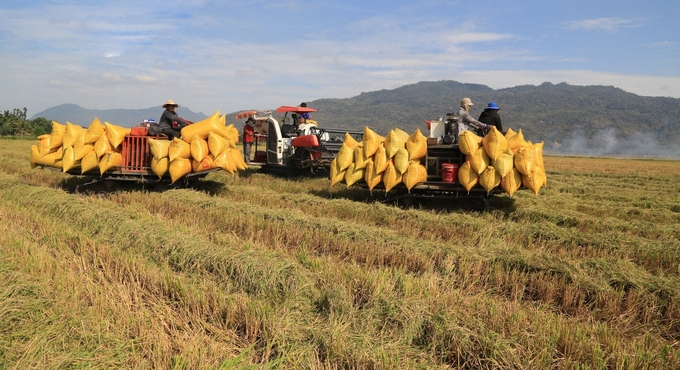 Sau gần 1 năm triển khai Đề án phát triển bền vững 1 triệu ha lúa chuyên canh chất lượng cao, phát thải thấp gắn với tăng trưởng xanh vùng ĐBSCL đến năm 2030, đã đạt được một số kết quả bước đầu đáng ghi nhận. Ảnh: LT.