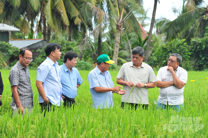 Đồng Tháp còn chú trọng phát triển các mô hình nông nghiệp công nghệ cao, giúp giảm chi phí sản xuất và tăng hiệu quả kinh tế. Ảnh: Lê Hoàng Vũ.