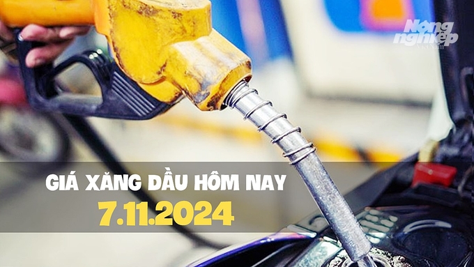 Cập nhật giá xăng dầu trong nước mới nhất ngày 7/11/2024